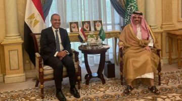 مصر تشارك في مشاورات إقليمية لخفض التصعيد بمشاركة السعودية وتركيا وباكستان