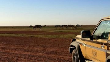 ضبط مخالفين لنظام البيئة ضبط مخالفين لنظام البيئة