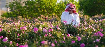 ارتفاع الطلب العالمي على النباتات العطرية.. قطاع الورد في السعودية ينمو بنسبة 15 سنويا