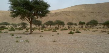 أستاذ مناخ يحدد رقم التحذير لعشاق الكشتات