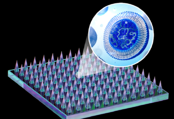 ابتكار سعودي يكشف الحساسية الغذائية قبل ظهور الأعراض