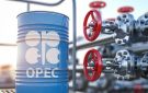 206 آلاف برميل يوميا.. أوبك ترفع إنتاج النفط في أبريل - sa
