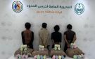 القبض على (4) يمنيين لتهريبهم (80) كجم قات في عسير