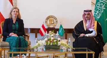 وزير الخارجية ونظيرته النمساوية يبحثان الأوضاع الراهنة