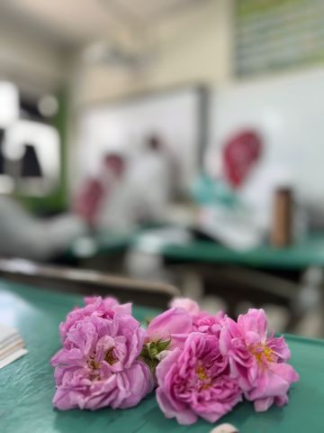 الطائف تحتفي بملتقى الورد والنباتات العطرية 2026