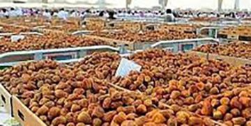 مليارا ريال صادرات التمور مليارا ريال صادرات التمور