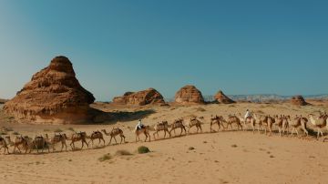 نهاية صامتة للبشرية.. كيف سيقضي الذكاء الاصطناعي علينا دون رصاصة واحدة؟