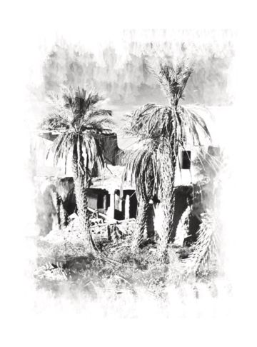 السردية في الأماكن شكلت الرواية السعودية..