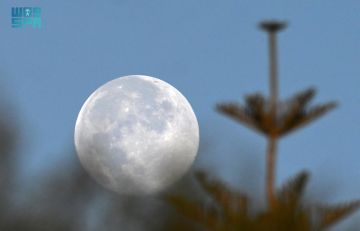  بدر الفراشة يزين سماء المملكة