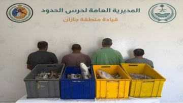 ضبط 4 مقيمين مخالفين للائحة الأمن والسلامة لمزاولي الأنشطة البحرية