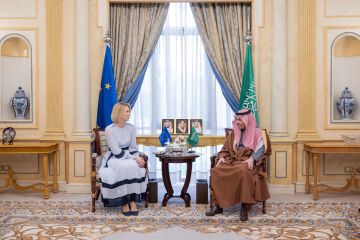 وزير الخارجية يستقبل الممثلة العليا للاتحاد الأوروبي للشؤون الخارجية وزير الخارجية يستقبل الممثلة العليا للاتحاد الأوروبي للشؤون الخارجية