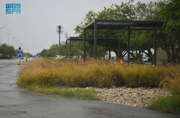 أمطار غزيرة إلى متوسطة على المنطقة الشرقية