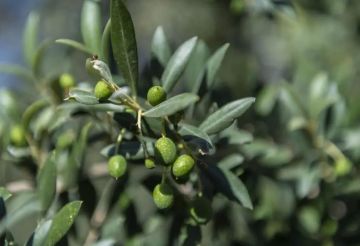 باكستان: أمريكا لم ترسل وفدا للتفاوض مع إيران