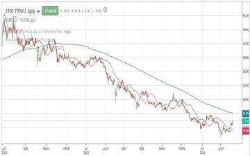 سهم وفرة يختبر مقاومة محورية مع تحسن نسبي في الزخم