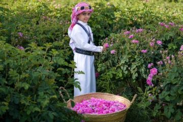 تأجيل ملتقى الورد بالطائف لتعزيز الجودة واستدامة القطاع تأجيل ملتقى الورد بالطائف لتعزيز الجودة واستدامة القطاع