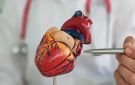 4 فئات معرضون لخطر الإصابة جلطات قلبية