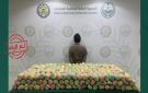القبض على باكستاني في الباحة لترويجه القات