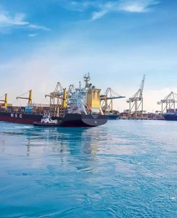 14.5 مليون طن مناولة 14.5 مليون طن مناولة
