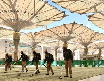 المدينة تستقبل زوار الداخل بأجواء روحانية وخدمات متكاملة المدينة تستقبل زوار الداخل بأجواء روحانية وخدمات متكاملة