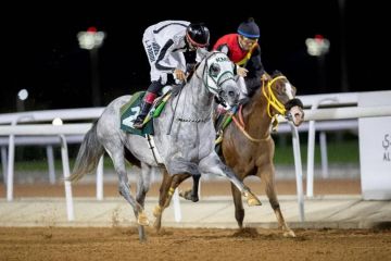 نادي سباقات الخيل يعلن انطلاق موسم سباقات الطائف 2026 بجوائز تتجاوز 22 مليون ريال
