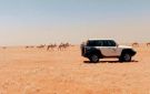 ضبط مخالفا لنظام البيئة في محمية الإمام عبدالعزيز بن محمد الملكية