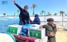 المملكة توزع (1,210) سلال غذائية في مدينة خان يونس بقطاع غزة
