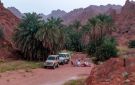 حائل.. حين يتجسد الجمال في لوحة الطبيعة - sa