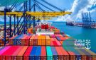 استمرار إعفاء الترانزيت - sa