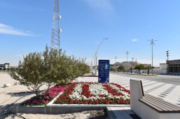 تطوير طرق زراعية وطرح 5 فرص استثمارية تطوير طرق زراعية وطرح 5 فرص استثمارية