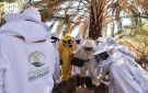 المملكة تسلم خلايا النحل ومستلزمات إنتاج العسل لـ(20) مستفيدا في سقطرى