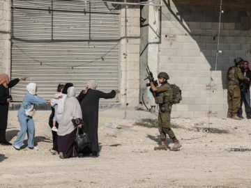 الاحتلال يعتقل 24 فلسطينيا بالضفة الاحتلال يعتقل 24 فلسطينيا بالضفة