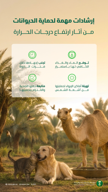 البيئة تحث ملاك الحيوانات الأليفة على اتخاذ تدابير حمايتها من حرارة الصيف البيئة تحث ملاك الحيوانات الأليفة على اتخاذ تدابير حمايتها من حرارة الصيف