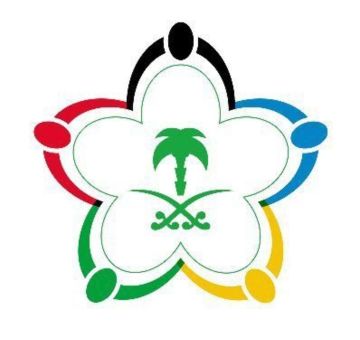 وزارة الرياضة تعلن نتائج تقييم الحوكمة للأندية الرياضية الخاصة لموسم 2025-2026