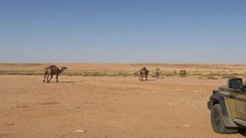 ضبط مواطنين مخالفين لنظام البيئة