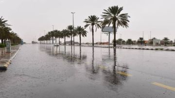 أمطار رعدية على عدة مناطق حتى نهاية الأسبوع.. فيديو أمطار رعدية على عدة مناطق حتى نهاية الأسبوع.. فيديو