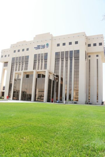 الحكومة الرقمية في رحلة الرؤية .. منجزات تواكب المتغيرات وترسخ الاستدامة الحكومة الرقمية في رحلة الرؤية .. منجزات تواكب المتغيرات وترسخ الاستدامة