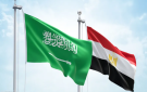 مشهد فلكي مرتقب.. ذروة شهب دلتا الدلويات تضيء سماء الوطن العربي فجر الخميس