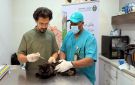 ترامب يهدد بضرب الجسور ومحطات الطاقة في إيران