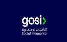 التأمينات الاجتماعية تكشف عن حلول تمويلية للمتقاعدين
