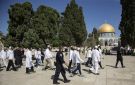 الأوقاف الفلسطينية تحذر من اقتحام الأقصى - sa