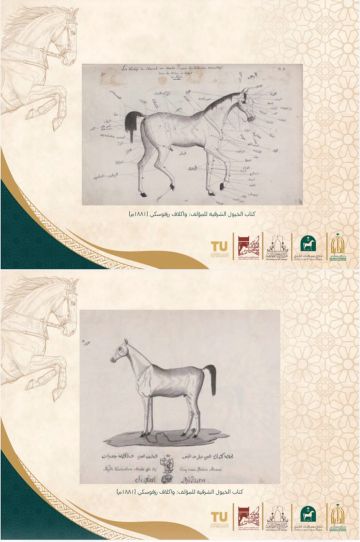 مركز تاريخ الطائف .. يكشف إرث الخيل العربية مركز تاريخ الطائف .. يكشف إرث الخيل العربية