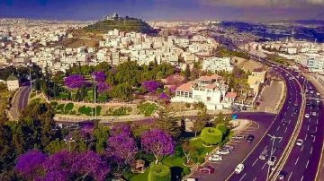 المملكة تواصل صدارتها إقليميا بـ21 مدينة صحية معتمدة من منظمة الصحة العالمية المملكة تواصل صدارتها إقليميا بـ21 مدينة صحية معتمدة من منظمة الصحة العالمية