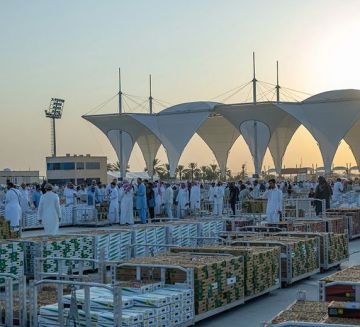القصيم تتصدر بإنتاج يتجاوز نصف مليون طن من التمور القصيم تتصدر بإنتاج يتجاوز نصف مليون طن من التمور