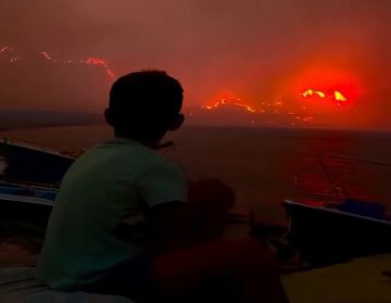 ارتفاع حصيلة ضحايا حرائق الغابات في الجزائر إلى 73 قتيلا ارتفاع حصيلة ضحايا حرائق الغابات في الجزائر إلى 73 قتيلا