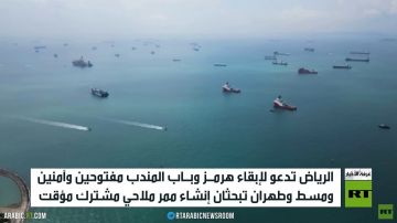الرياض.. أمن الملاحة بهرمز وباب المندب الرياض.. أمن الملاحة بهرمز وباب المندب