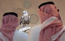 افتتاح المزاد الدولي لمزارع إنتاج الصقور 2026 