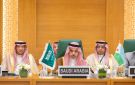 وزير الخارجية يشارك في الاجتماع الوزاري الاستثنائي لمنظمة التعاون الإسلامي