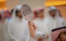 4 صقور تحلق بقيمة 203 آلاف ريال بالمزاد الدولي