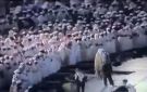 تسجيل نادر للشيخ محمد السبيل أثناء تلاوته للقرآن الكريم من المسجد الحرام.. فيديو
