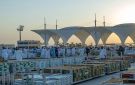 القصيم تتصدر بإنتاج يتجاوز نصف مليون طن من التمور - sa
